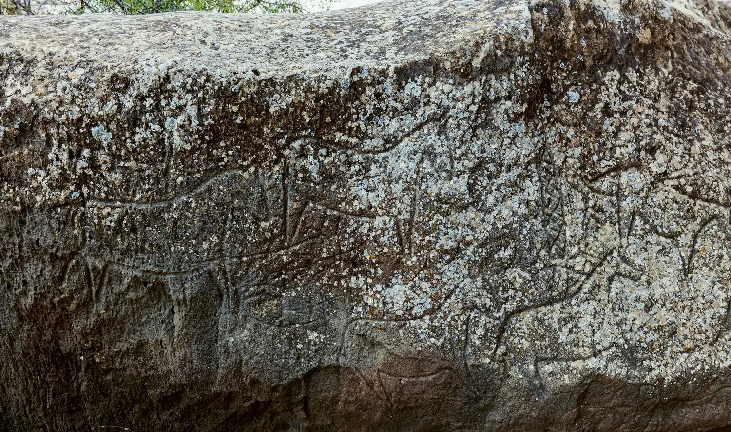 Figures cut into the stone